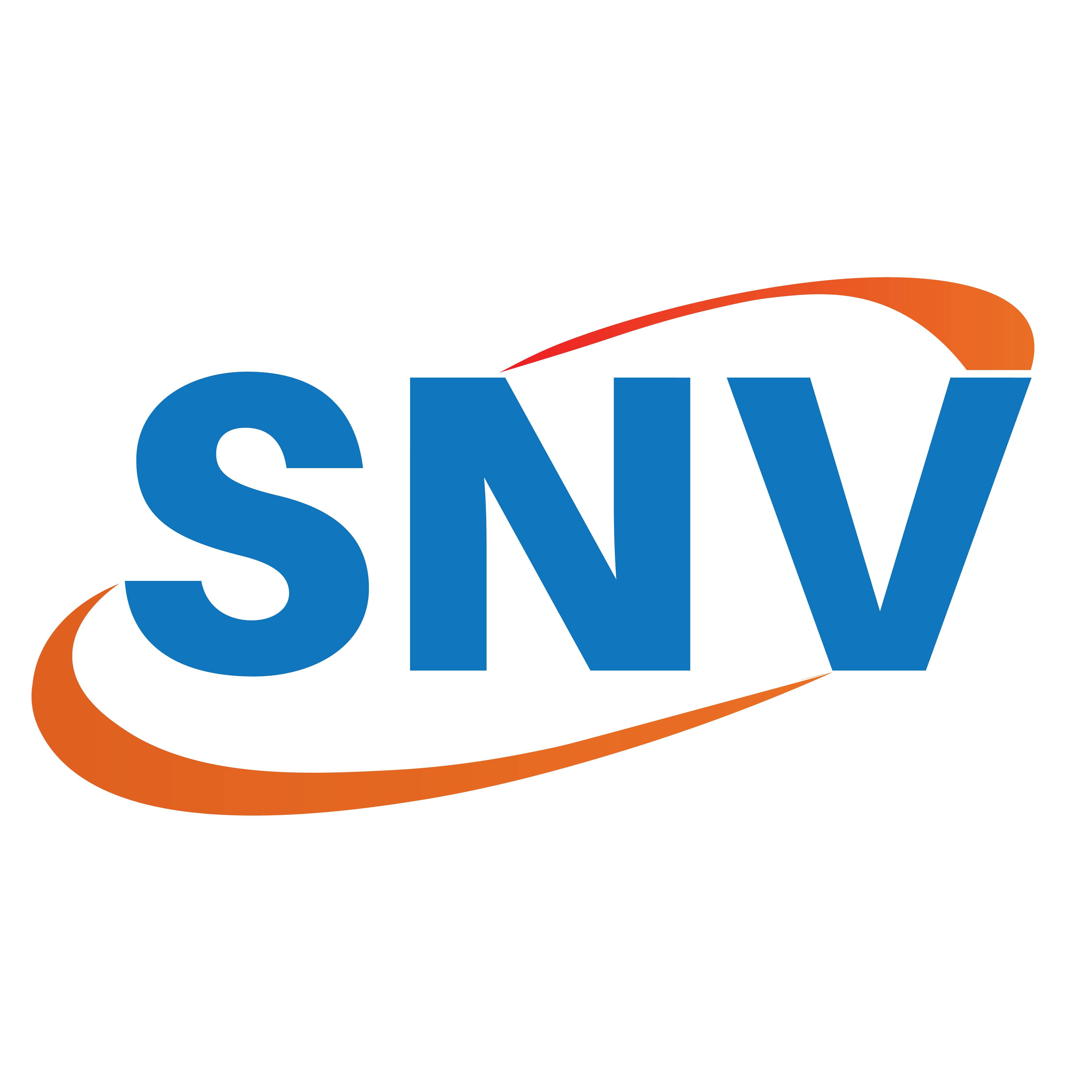 SNV Logo